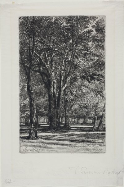 Kensington Gardens, nr. II (stor plade) af Francis Seymour Haden