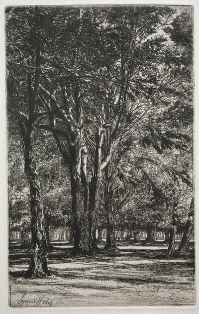 Kensington Gardens The Large Plate, 1860. af Francis Seymour Haden