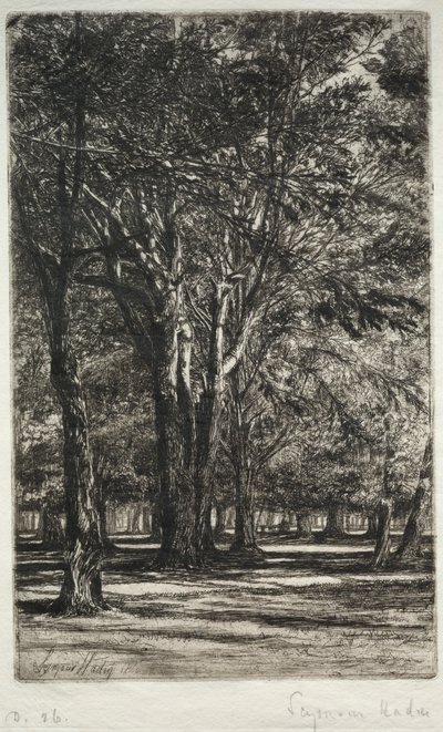 Kensington Gardens The Larger Plate, 1860. af Francis Seymour Haden