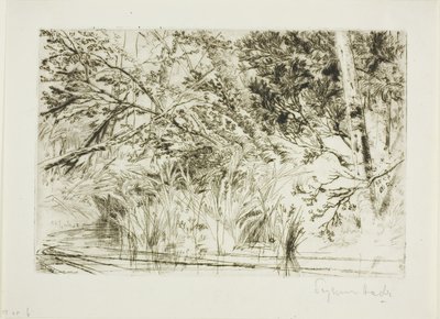 Munden af en bæk, nr. II af Francis Seymour Haden