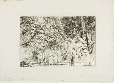 Munden af en bæk, nr. II af Francis Seymour Haden