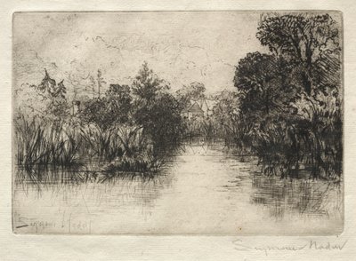 Shere Mill Pond En lille undersøgelse. af Francis Seymour Haden