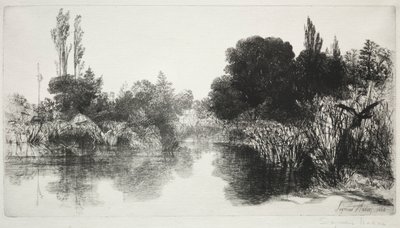 Shere Mill Pond, nr. 11 (Den store plade) af Francis Seymour Haden