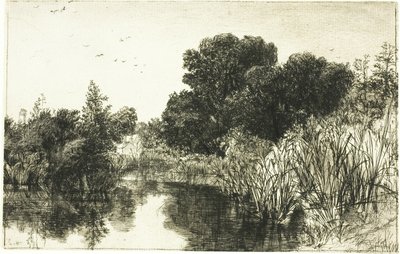 Shere Mill Pond, nr. II (stor plade) af Francis Seymour Haden