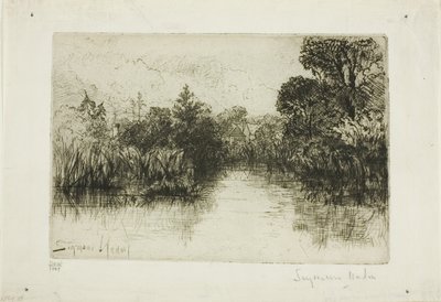 Shere Mill Pond, nr. I (lille tallerken) af Francis Seymour Haden