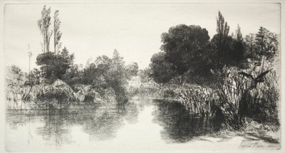 Shere Mill Pond The Larger Plate, 1860. af Francis Seymour Haden