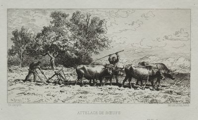 Team af okser af Francis Seymour Haden