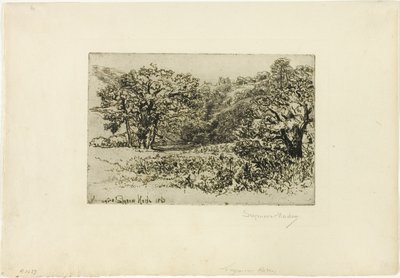 Flokken af Francis Seymour Haden