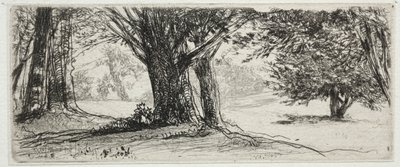 Holly Field af Francis Seymour Haden