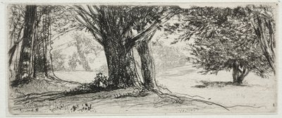 Holly Field. af Francis Seymour Haden