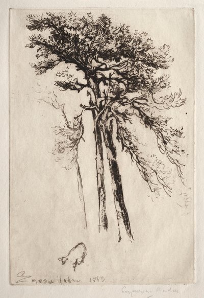 Det seneste træ, 1882. af Francis Seymour Haden