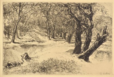 De tre søstre af Francis Seymour Haden