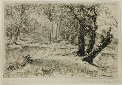 De tre søstre af Francis Seymour Haden
