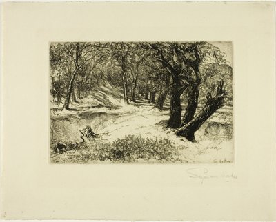 De tre søstre af Francis Seymour Haden