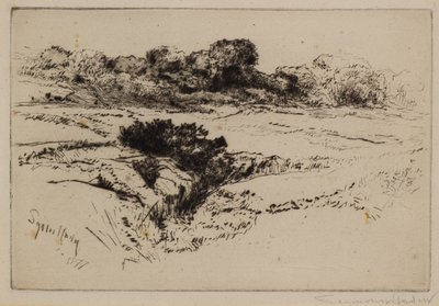 Windmill Hill No.2 af Francis Seymour Haden
