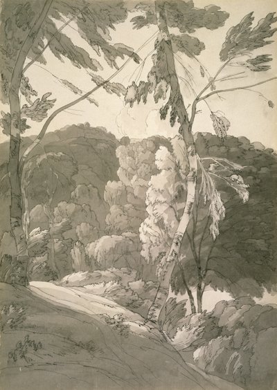 No.1091 A Wooded Landscape (A Scene at Indinowle) 1783 (blyant, pen & blæk med vask på papir) af Francis Towne