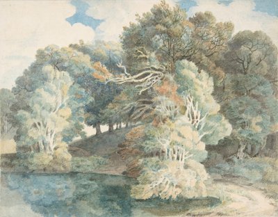 Træer ved søen, Peamore Park, nær Exeter, Devon, 1790-1810. af Francis Towne