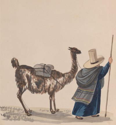 En kvinde, der går med en lama, fra en gruppe tegninger, der viser peruviansk kostume, ca. 1848. af Francisco