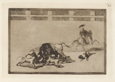 Echan perros al toro (De løse hunde på tyren), plade 25 fra La tauromaquia af Francisco de Goya