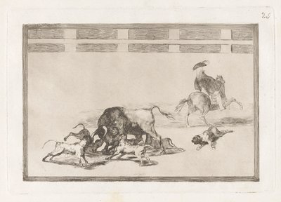 Echan perros al toro (De løse hunde på tyren), plade 25 fra La tauromaquia af Francisco de Goya