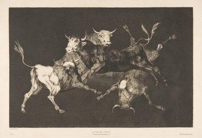 Plade D fra Disparates: Fools-or Little Bulls - dårskab, ca. 1816-23 udgivet 1877. af Francisco de Goya