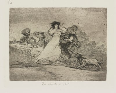 At? er det optøjer? (What Is This Hubbub?), pl. 65 fra serien The Disasters of War af Francisco de Goya