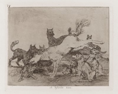 Han forsvarer sig godt, Plade 78 fra The Disasters of War af Francisco de Goya