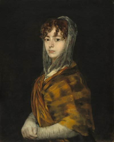 Lady Sabasa Garcia, ca. 18061811. af Francisco de Goya