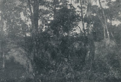 Indian Cabins, 1895 af Francisco Henszler