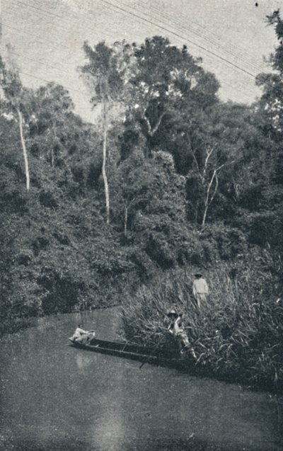 S. Anastacio-floden, 1895 af Francisco Henszler