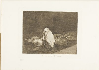 The Beds of Death, plade 62 fra The Disasters of War af Francisco Jose de Goya y Lucientes