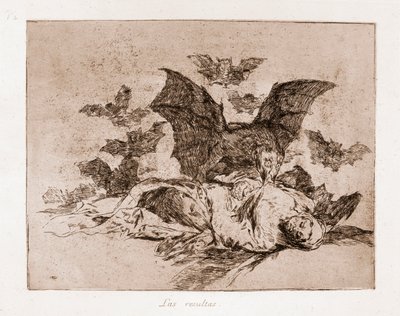 The Disasters of War: Resultaterne (ætsning fra forberedende tegning af Francisco de Goya