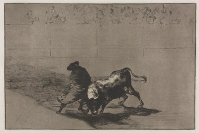 Tyrefægtning: Falkens meget dygtige elev, indhyllet i sin kappe, tricker tyren med sin krops leg af Francisco de Goya