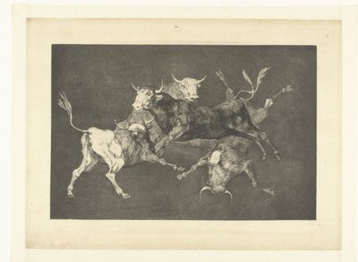De små tyres tåbelighed Uensartede tontos Los Disparates (The follies) (serietitel) Los Proverbios (Ordsprogene) (serietitel) af Francisco de Goya