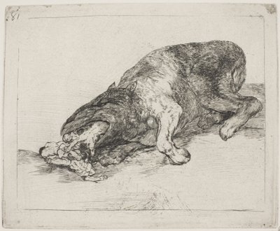 Et vildt uhyre (81) af Francisco de Goya