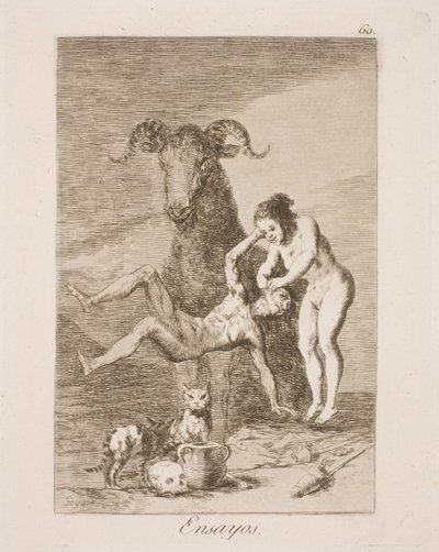 Forsøg af Francisco de Goya