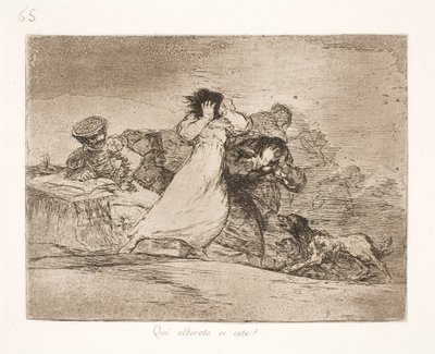 Hvad betyder denne forvirring? (65) af Francisco de Goya