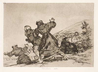 Også denne (43) af Francisco de Goya