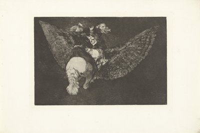 flyvende dårskab Uensartet volante Los Disparates (The follies) (serietitel) Los Proverbios (Ordsprogene) (serietitel) af Francisco de Goya