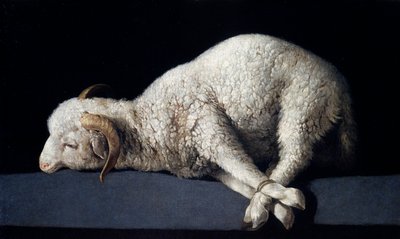 Agnus Dei af Francisco de Zurbaran