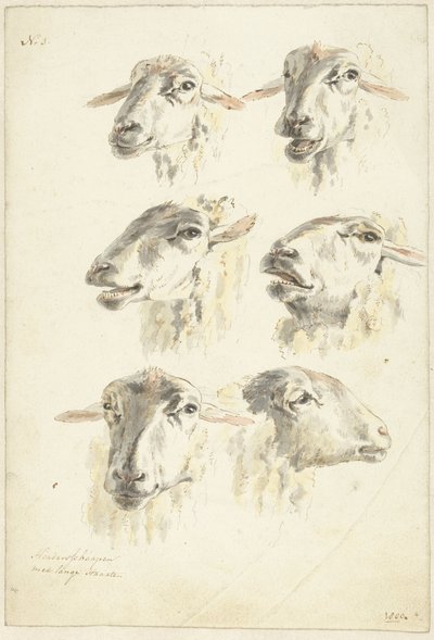 Studieark med seks fårehoveder af Franciscus Andreas Milatz (attributed to)