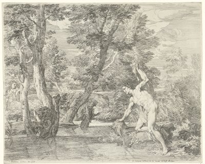 Narcissus af Franciscus de Neve