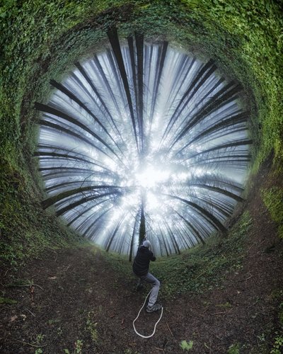 Spiralformet skovsti af Francois Casanova