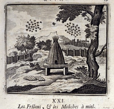 Hornets og honningfluer. Fabler af Jean de La Fontaine (1621-95). Illustration af Francois Chauveau (1613-1676). Udgave af 1728. af Francois Chauveau