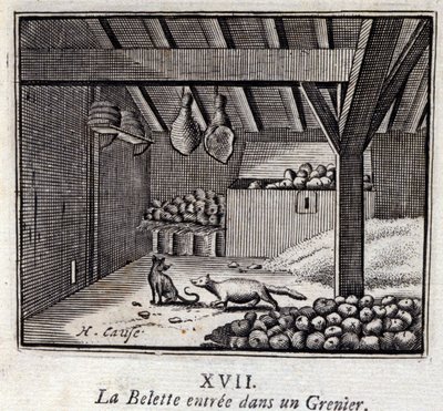 La Weasette kom ind i en Grenier. Fabler af Jean de La Fontaine (1621-95). Illustration af François Chauveau (1613-1676). Udgave af 1728. af Francois Chauveau