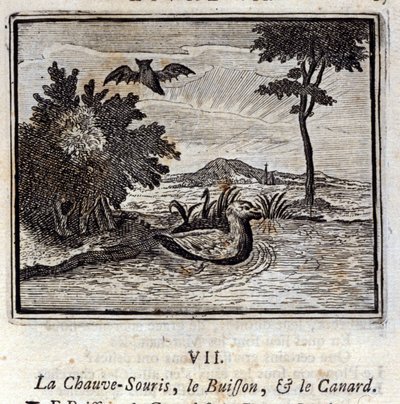 Flagermusen, Bushen og Anden. Fabler af Jean de La Fontaine (1621-95). Illustration af François Chauveau (1613-1676). Udgave af 1728. af Francois Chauveau