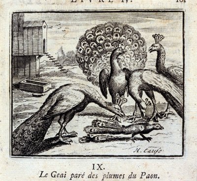 Jay pryder påfuglefjer. Fabler af Jean de La Fontaine (1621-95). Illustration af François Chauveau (1613-1676). Udgave af 1728. af Francois Chauveau