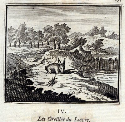 Lievre