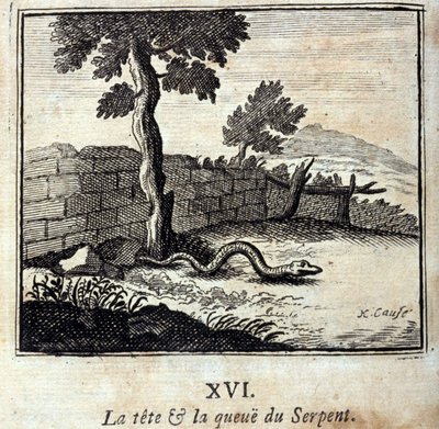 Slangens hoved og hale. Fabler af Jean de La Fontaine (1621-95). Illustration af François Chauveau (1613-1676). Udgave af 1728. af Francois Chauveau