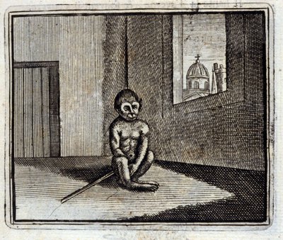 Aben. Fabler af Jean de La Fontaine (1621-95). Illustration af François Chauveau (1613-1676). Udgave fra 1728. af Francois Chauveau